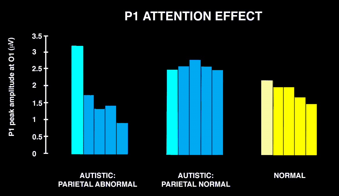 brain electrical response suggests attention is abnormally concentrated in autism with parietal damage, uniformly distributed in autism without parietal damage