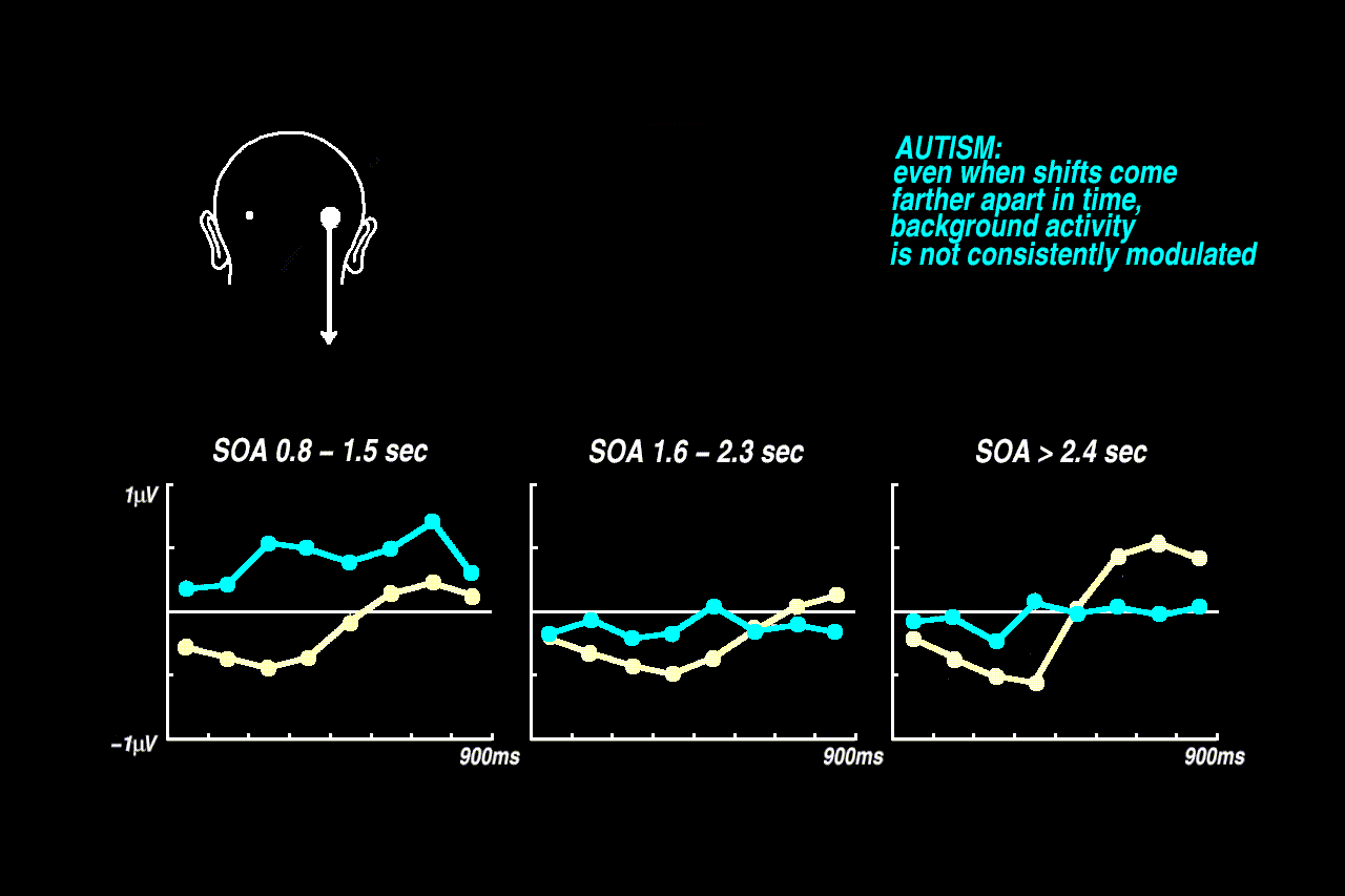 previous EEG results (long SOA)