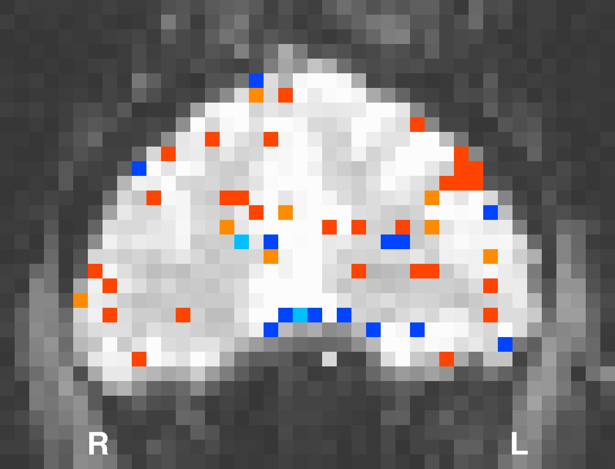 activations from permutation test